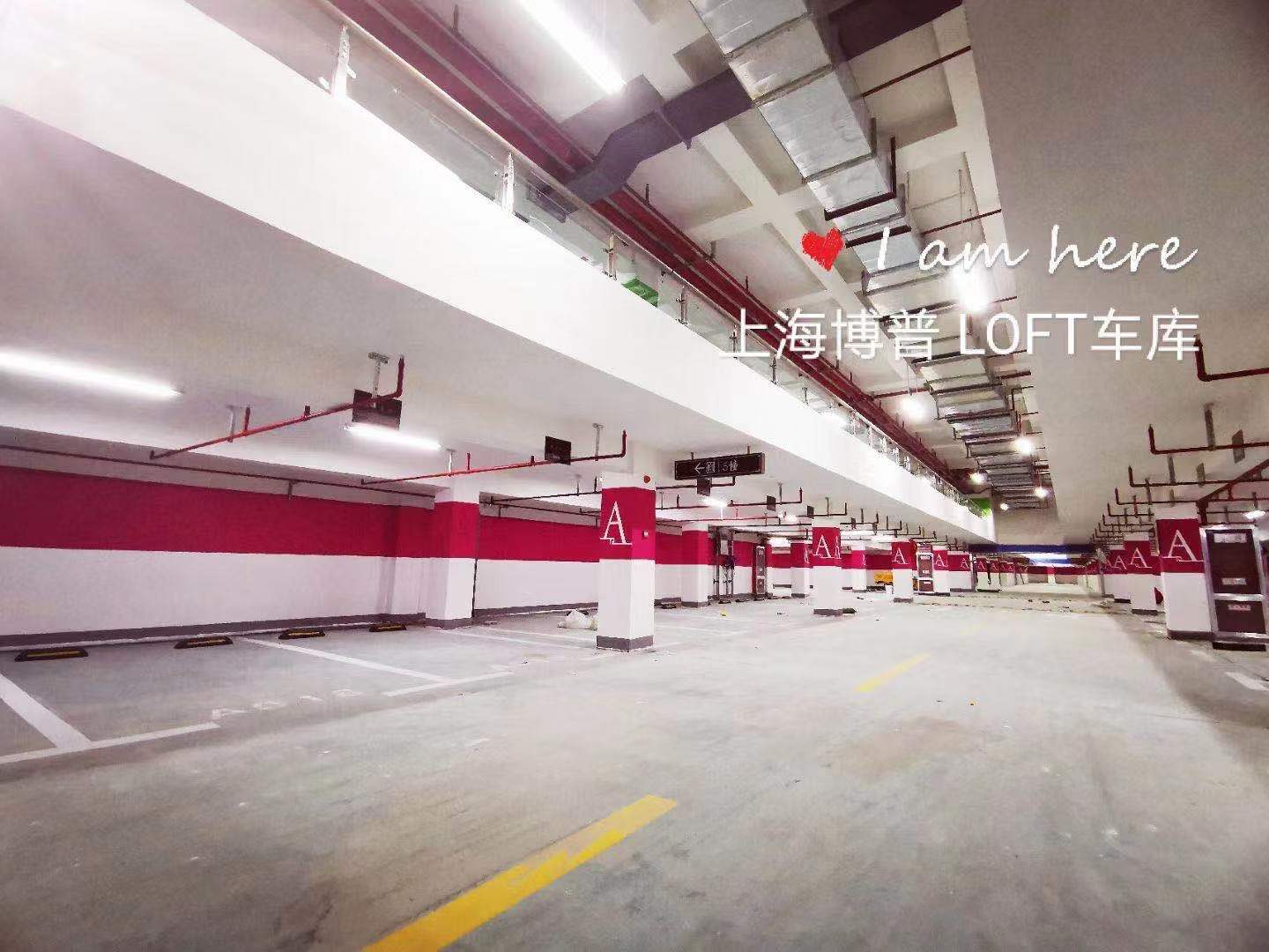 东丽已交竣的绿城豪华LOFT专利车库效果惊艳！